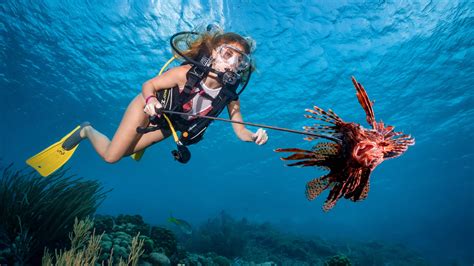 Explore the Enchanting Marine Life of Magic Island through Snorkeling